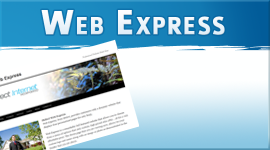 Web Express wordpress website package