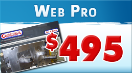 Web Pro wordpress website package $495